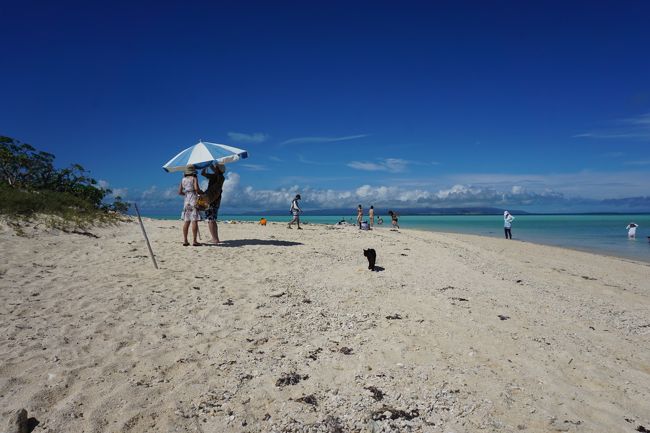 海に猫・・・<br />はじめて見る光景。<br />黒色だと暑いだろうなあ(・_・;)