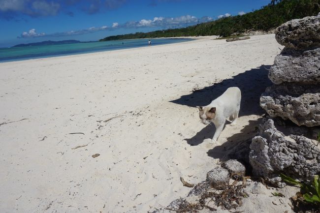 この写真はお気に入り。