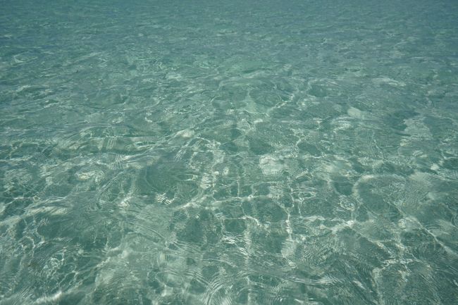 写真を撮るために防水でもないカメラを片手に持って、泳いで行っていました。<br />と言っても、足はついていましたが。<br />落とさなくてよかったあ(・_・;)