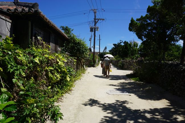 日差しが・・・南国！