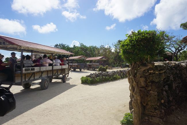 竹富観光センターの水牛ツアーに参加しました。<br />一人1200円。<br />外国人の人もちらほら。