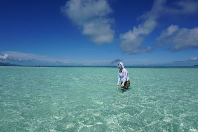 しばらく泳ぐと、浅瀬があって、写真の通り膝くらいまでの高さに。<br />海の真ん中に立ってる！
