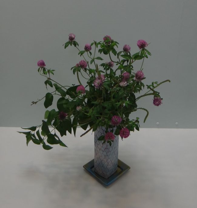 小さいお花が可愛い