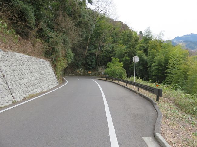 更に車道を歩いて高千穂峡に向かいます。<br />急な坂でカーブもあって、わりと危険でした。