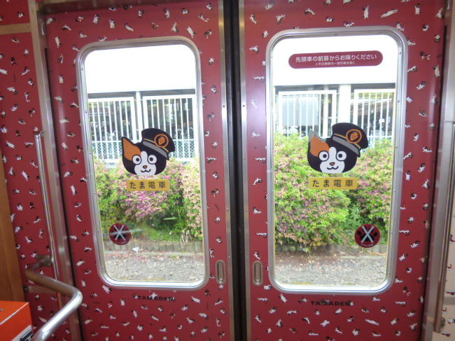 ドアもかわいくてウキウキします。