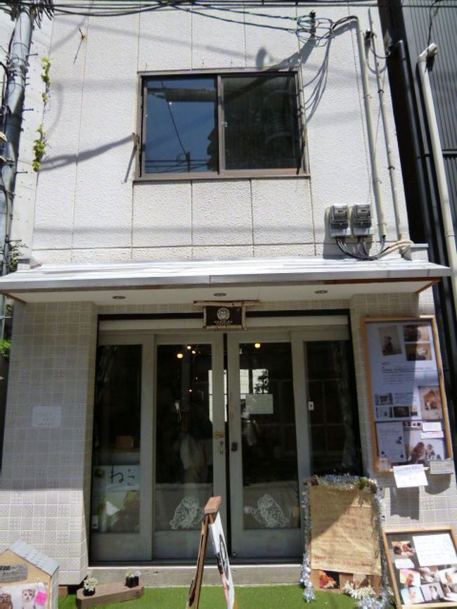 テレビにも出る大阪で有名なかわいらしいフクロウさんと猫ちゃんたちのいるカフェです。