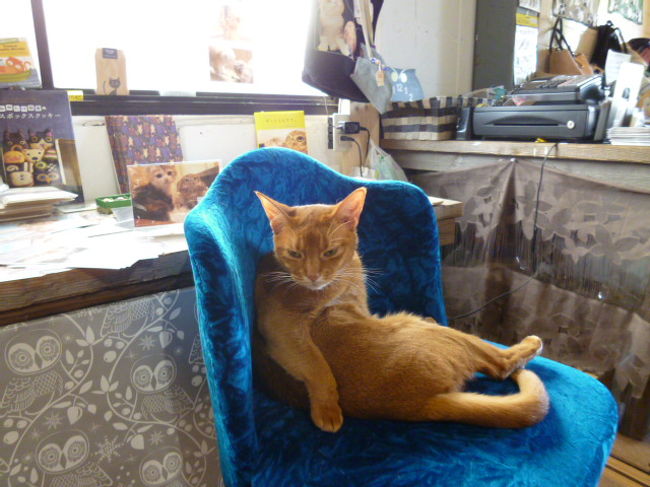 他にもたくさんいます。