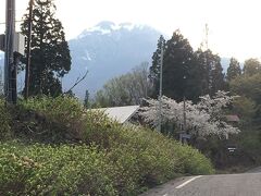 赤倉温泉についたら、桜が咲いてました。山の上はまだ咲いてた〜。
今年は黒姫あたりでも花とか早かったので、ここまで来て見れました。奥に見えているのは妙高です。