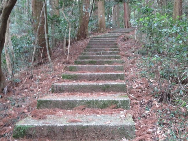 端まで来たので、石段を上って高千穂神社へ戻ります。<br />行きもこのルートが正解だったっぽい。<br />ただ、石段の段数もあり、登るのは相当きつかったです。
