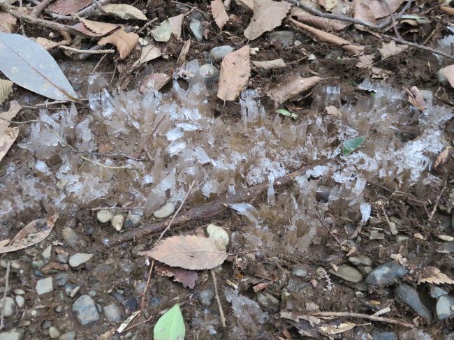 昼間ですが、霜が降りていました。<br />結構歩いていたから寒さを感じなかったけど、相当寒かったんだな。