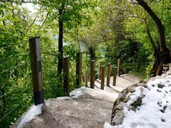 城への遊歩道はつづら折りに整備されていますが、木陰が多いので山の斜面にはかなり雪が残っています。