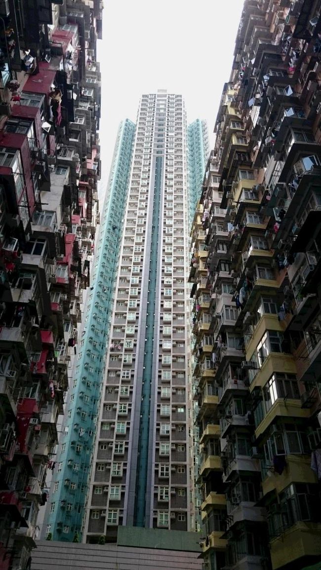 どんどん裏のマンションみたいに、<br />街の景色も変わるのかな・・・<br />