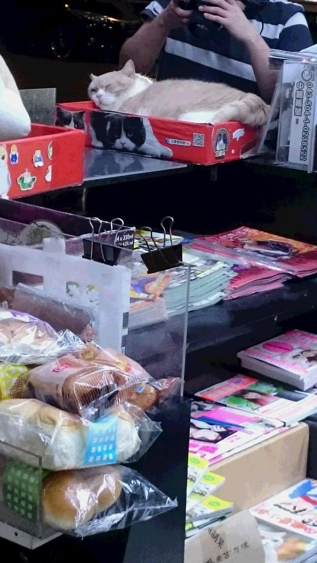 いらっしゃいました。<br />