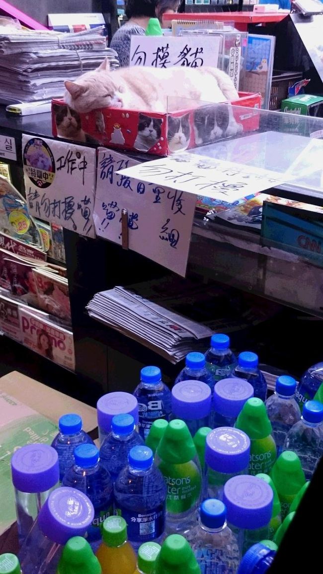 会えてよかったは。