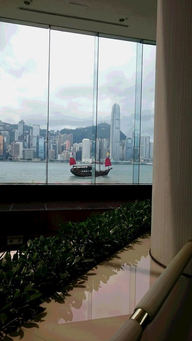 帰る前に、ロビーでお茶タイム。<br />ずーっと見ていたい景色。