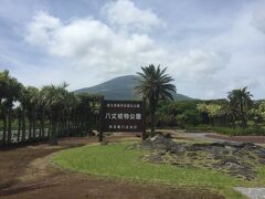 汗だくになりながら降りてきた登山口から、車で空港近くの植物公園に来ました。