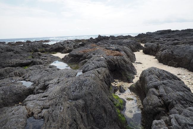 弾丸屋久島一泊二日の旅 島内ドライブ 屋久島 鹿児島県 の旅行記 ブログ By フロントヴィレッジさん フォートラベル