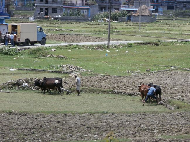 シャングリラビレッジリゾートホテルからのどかな風景に癒されてシャター！