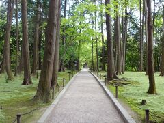 二日目は唐招提寺からスタート。
庭園の苔の美しさに、しばし呆然と見とれてしまいました。