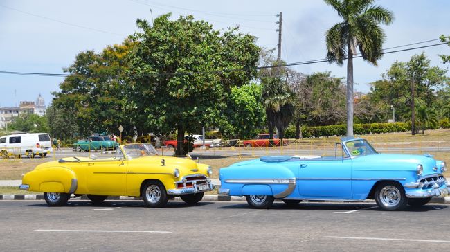 食事の後は、お約束のクラッシックカー。