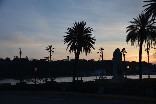 さて翌日。海岸まで散歩して明け方のプエルト通りを歩く。
