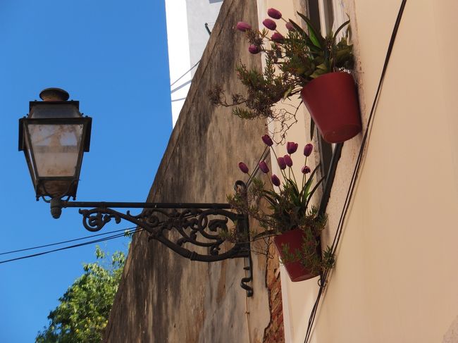 合うわぁ〜ステキぃ