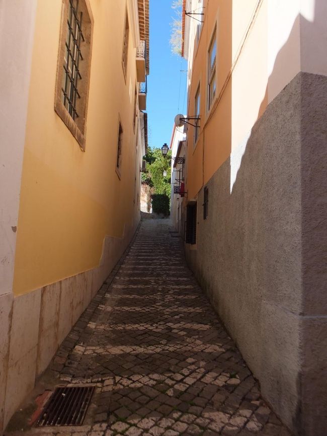 超坂道<br /><br />登らなくていい道です（安心しました）