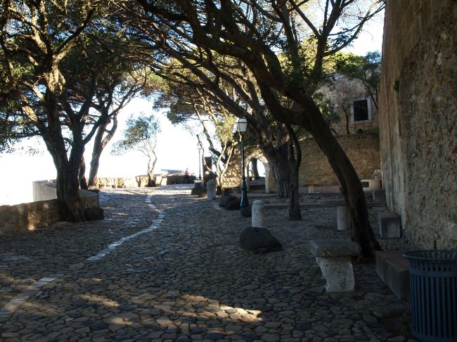 ところで昨日まであんなに暑かったのに、今日はここまで登ってきたのに<br />そんなに暑くない<br />肌寒いくらいなのだ<br /><br />「失敗した〜」と何度もつぶやいていたんはポロシャツ夫