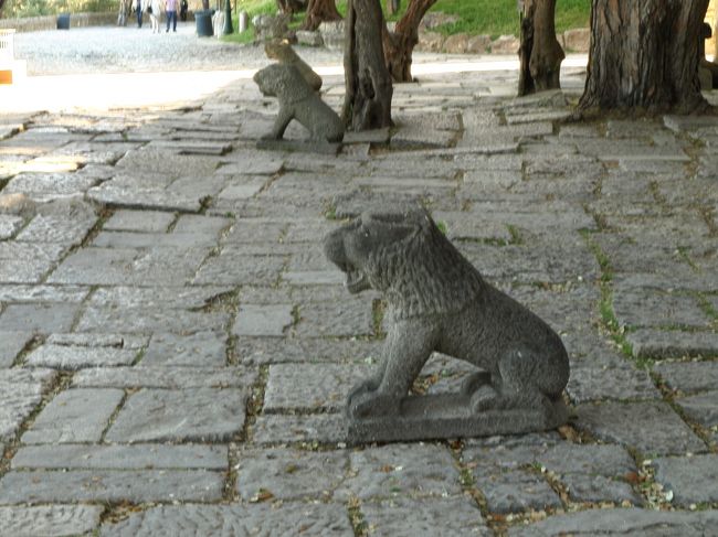 ライオン（と思われる）