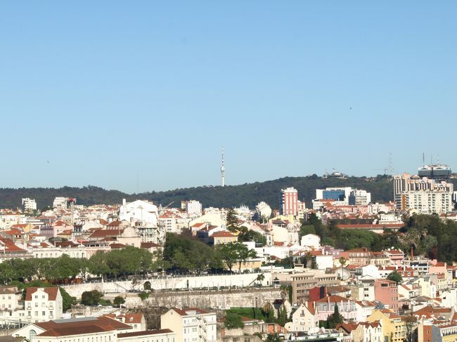 緑もまぁまぁ多い街