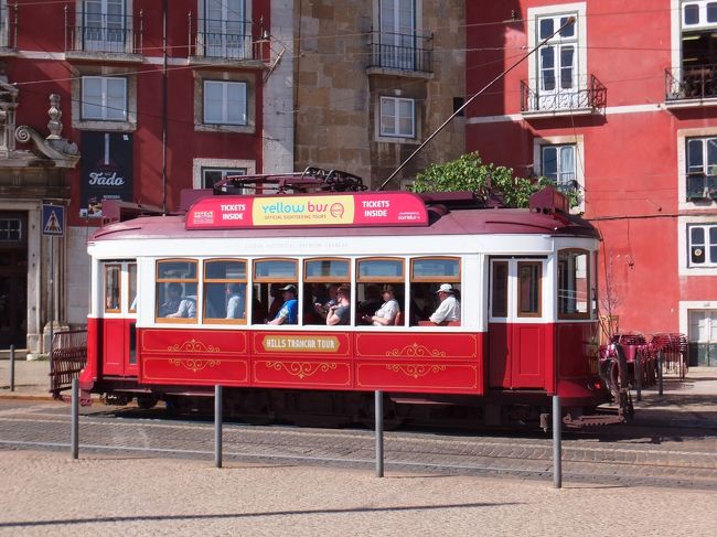 予想に反して気温が上がらず、ポロシャツ夫が弱ってしまった(>_<)<br /><br />大丈夫かな？めちゃくちゃ日当たりのいい広場で少し日向ぼっこする<br /><br />この間に１２号線と２８号線のトラムが通り過ぎていくのだが、どちらも満員だよ