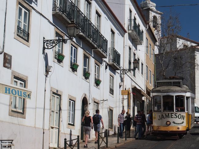 夫も日向ぼっこで持ち直したんで<br /><br />トラムは諦めて、歩くことにする！<br /><br />トラムいつもぎゅうぎゅうだったよ(>_<)