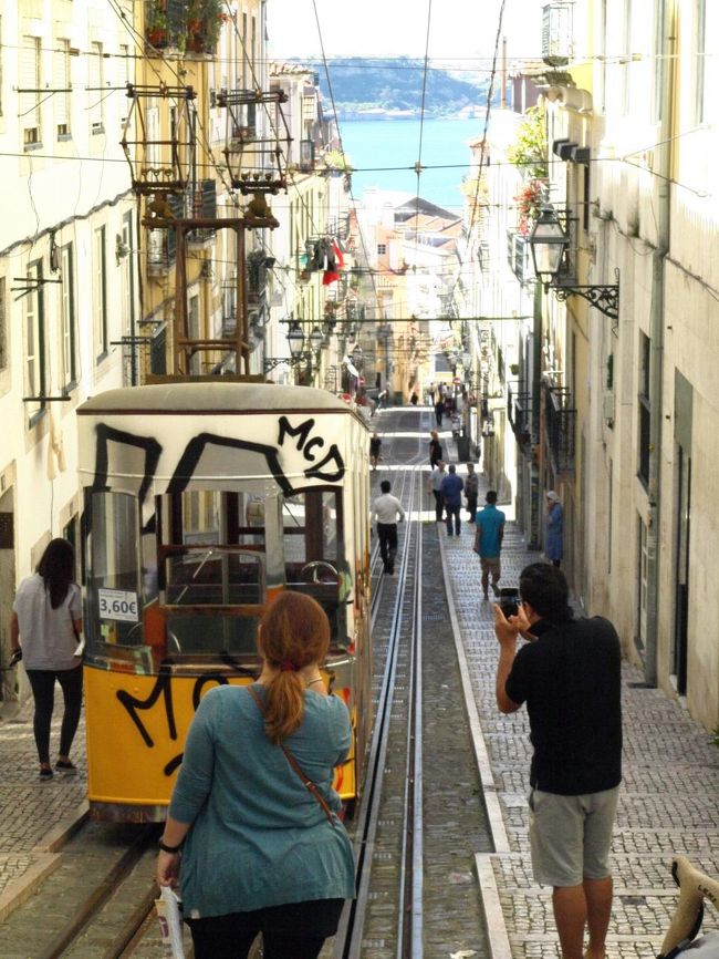 ほいでもやっぱり観光客は多い