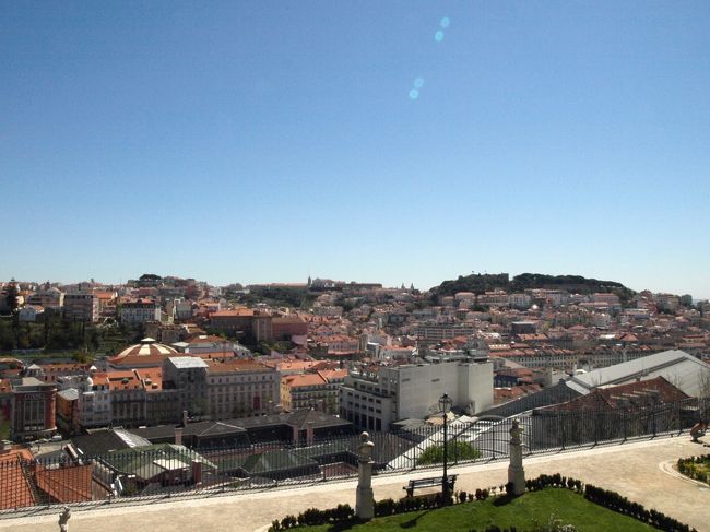 いい感じでとてもまぶしいけどね(;'∀')