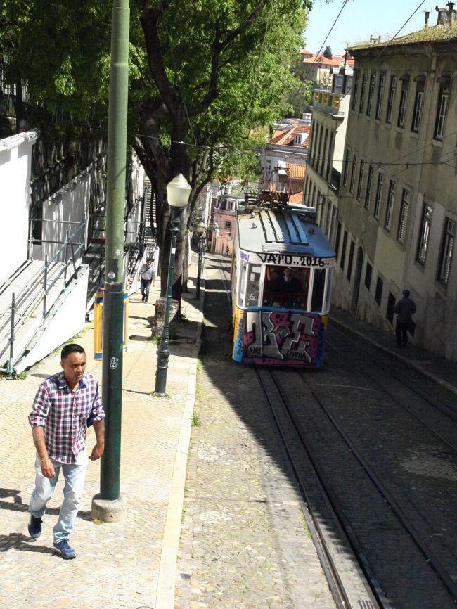 展望台近くにはグロリア線のケーブルカーがある<br /><br />急勾配だから、登りは使いたいかも<br /><br />ウチらは下っていくんで、歩きます