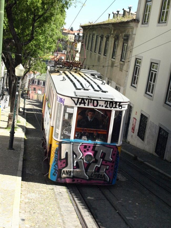 登り、たくさん乗ってます