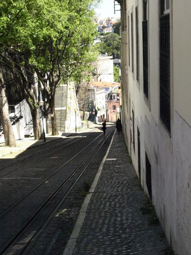 この坂のケーブルカー乗り場にはたくさんの人が行列を作っていた<br /><br />この坂見ると歩きたくはないもんね