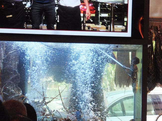 あぁーエビさんがやられてる！