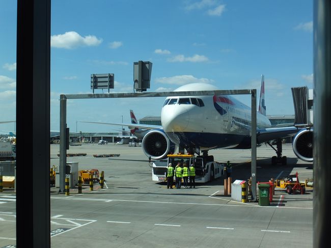 近くに飛行機(^o^)