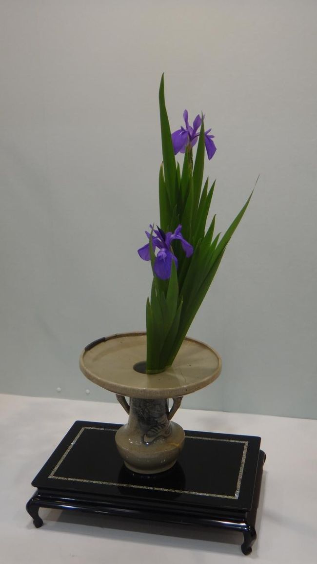 この色が爽やかです<br /><br />菖蒲園に行きたくなる〜