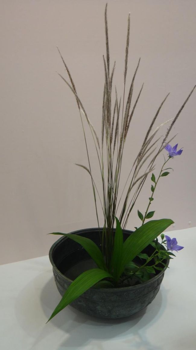 器が大きくゆったりと