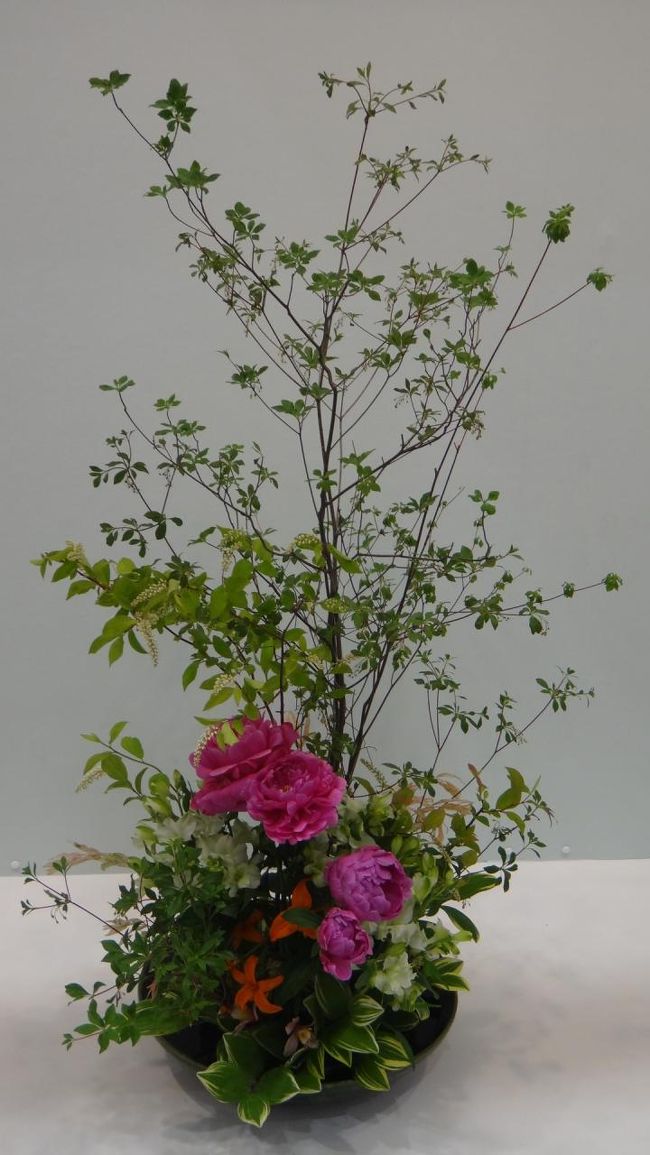 庭みたいで明るい