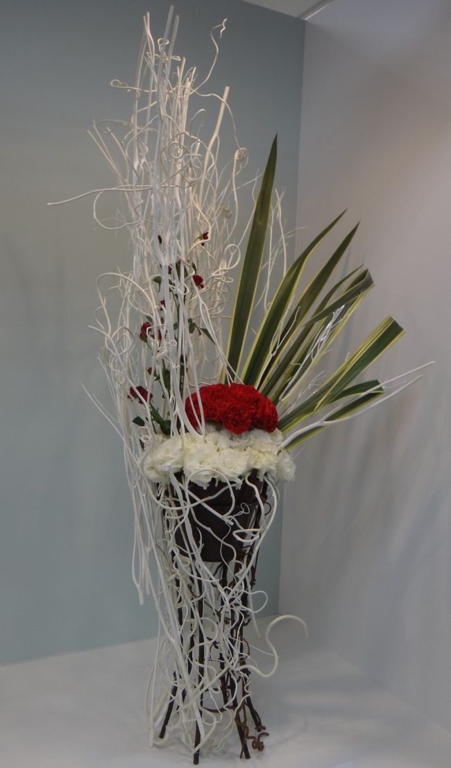 面白いくてきれいです