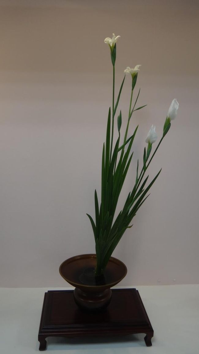 白は珍しい、清楚です