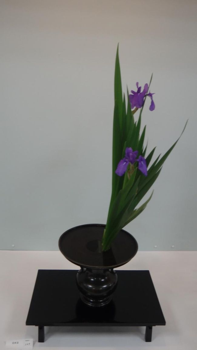 きれいなライン