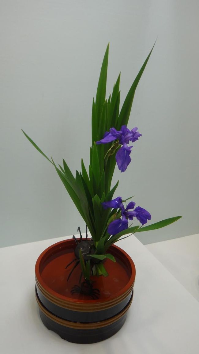 きれい、器で楽しんでいますね