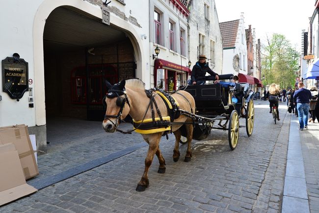 左折してベギン会修道院へ向かいます。<br />狭い路地を馬車が闊歩しています。