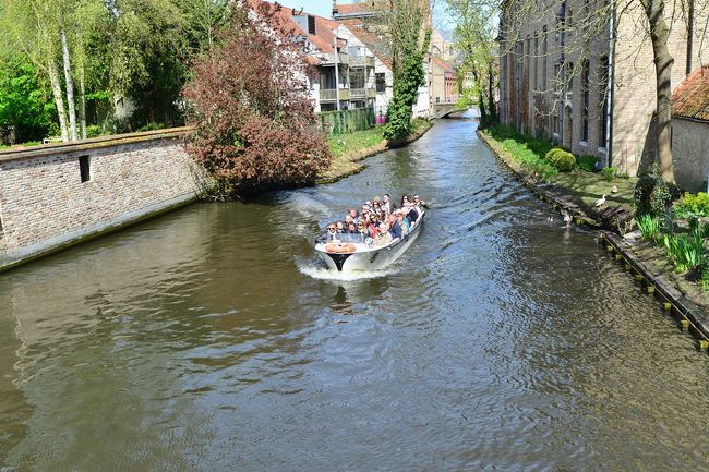 運河をクルーズするボートがひっきりなしに走っています。