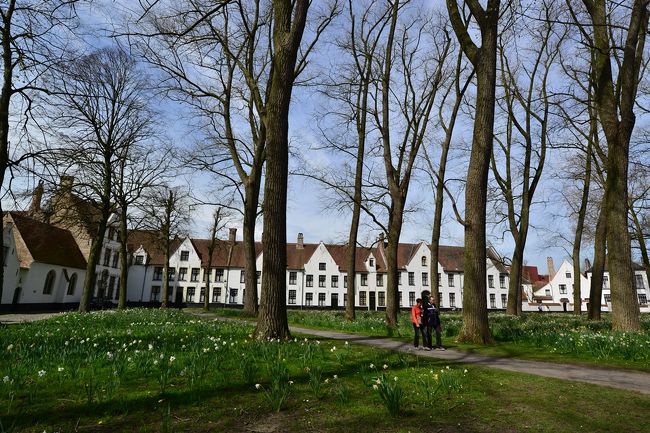 実にひっそりとしたたたずまいです。