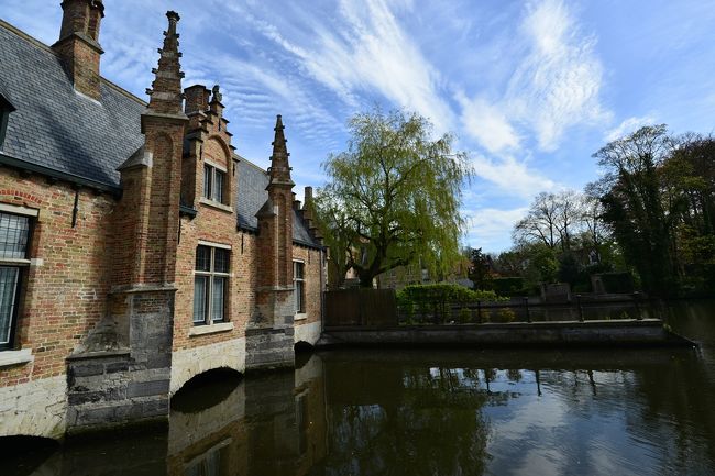 渡ってきた運河です。